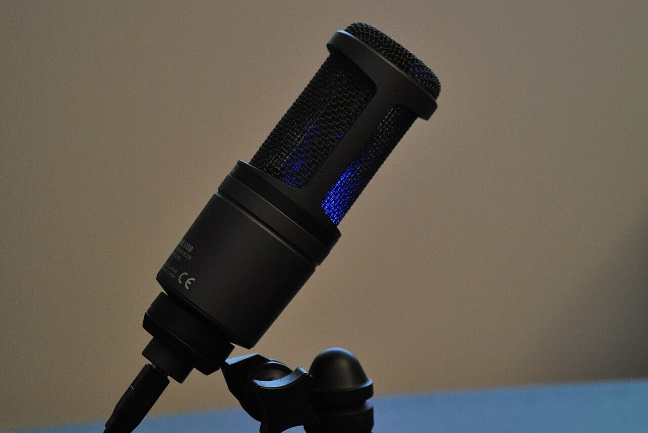 Photo d’illustration : Audio-technica AT2020