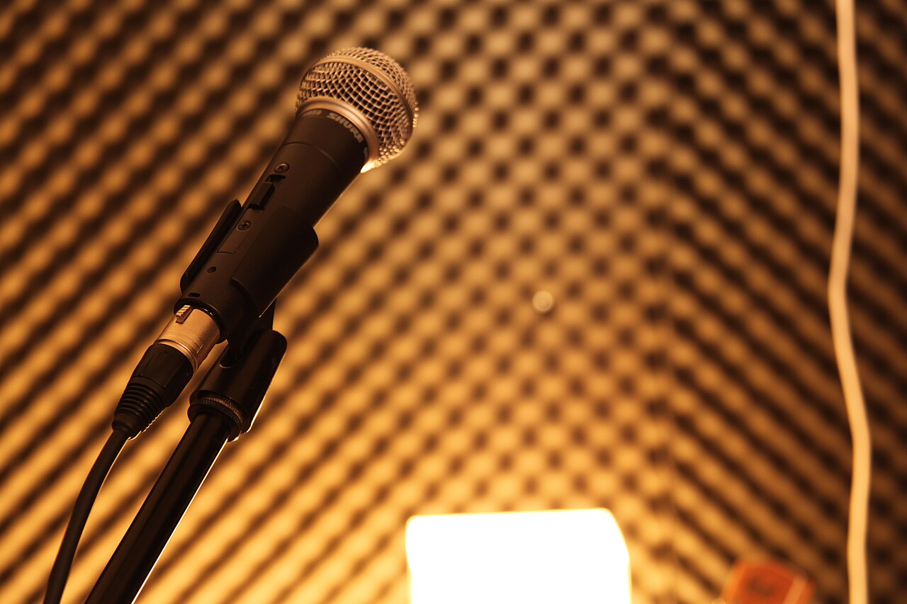 Photo d’illustration : Microphone (Shure SM58)